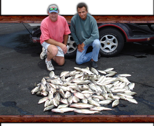 Lake Shelbyville White Bass Fishing